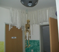 Halloween 2010 Privat